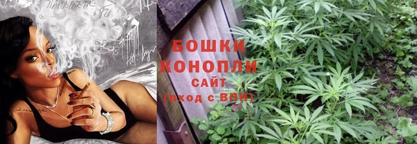 мет Карпинск